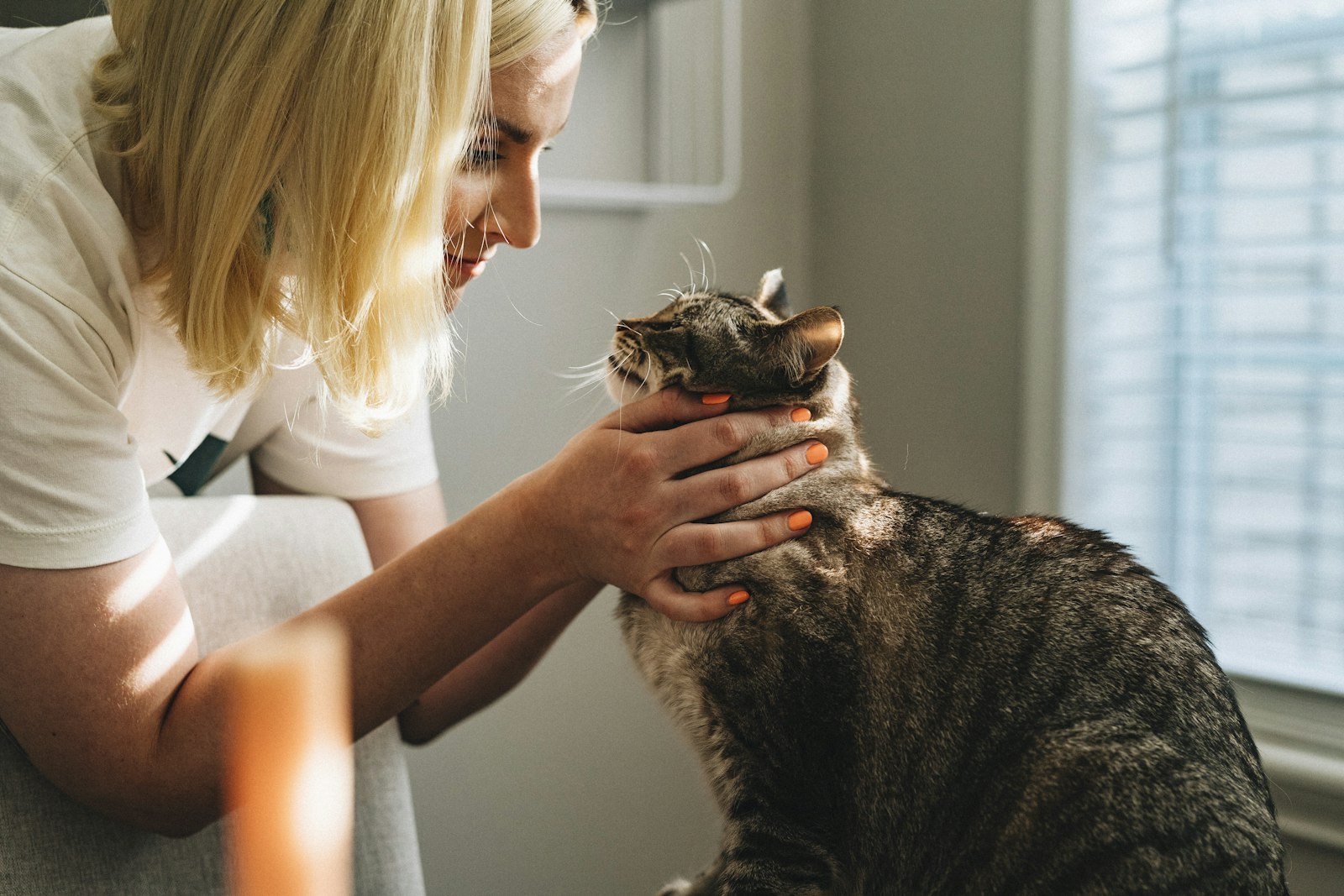 Owner comforting her cat